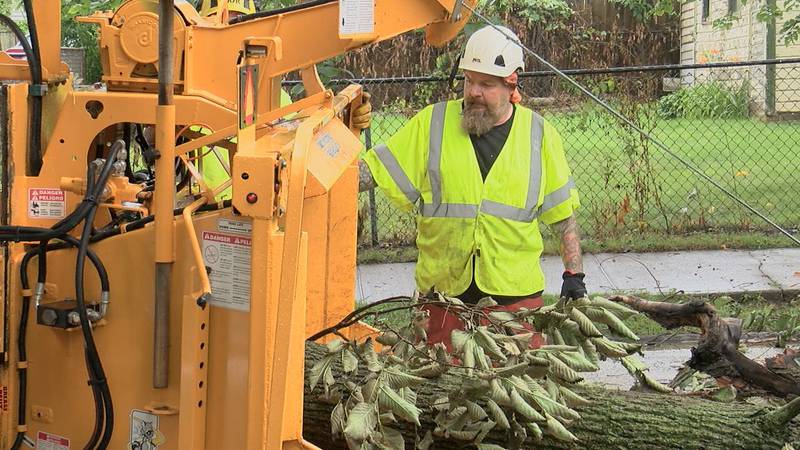 A city worker loads a fallen tree into a wood chipper Monday, June 12, 2021, in Cleveland's...