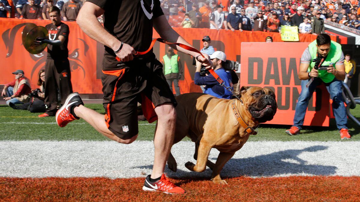 cleveland browns mascots