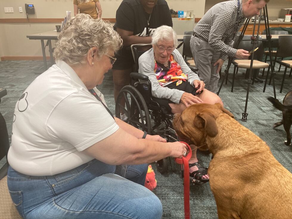 Pet therapy dogs at the North Olmsted library