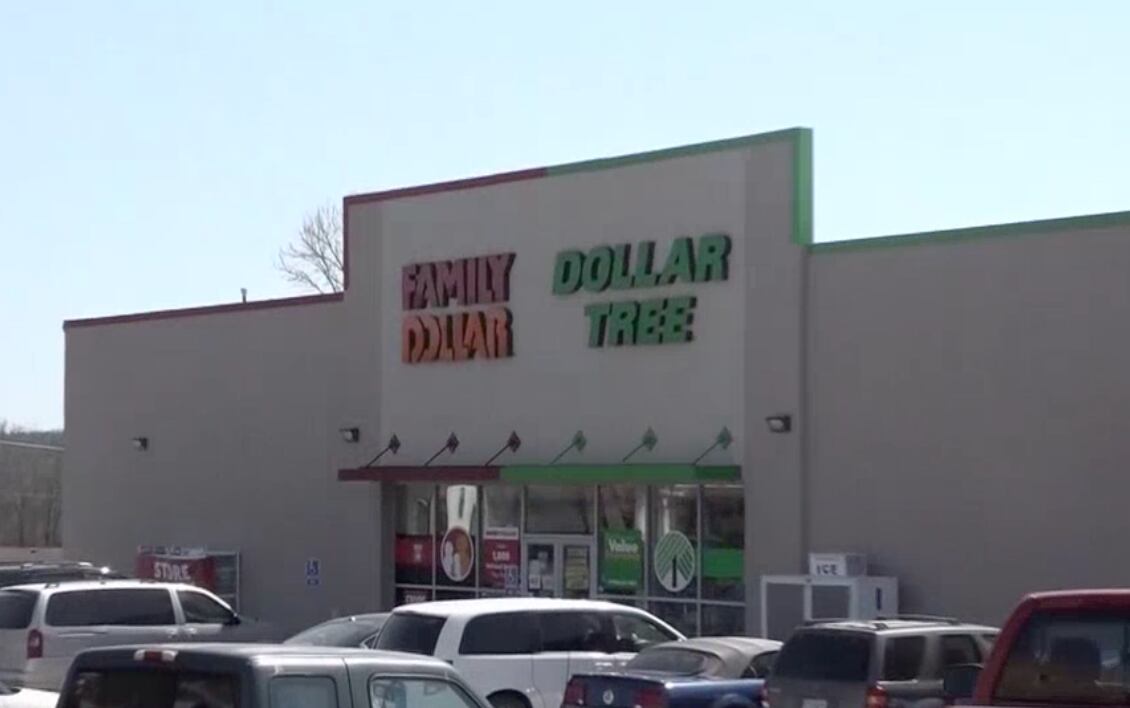 Painesville city council imposes moratorium on discount stores, citing economic impact - Vimarsana News